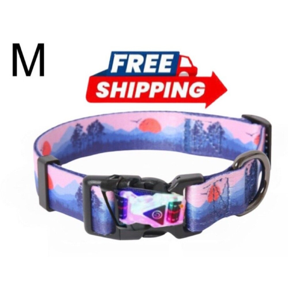 LED Dog Collar Night Safety Light Up Sunset Love Xtra Batteries Included Med NWT